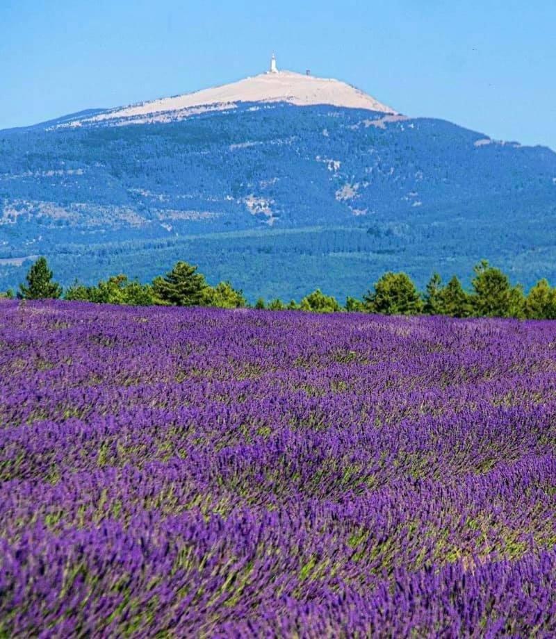 Domaine Du Moulin De Villefranche Pernes-les-Fontaines Luaran gambar